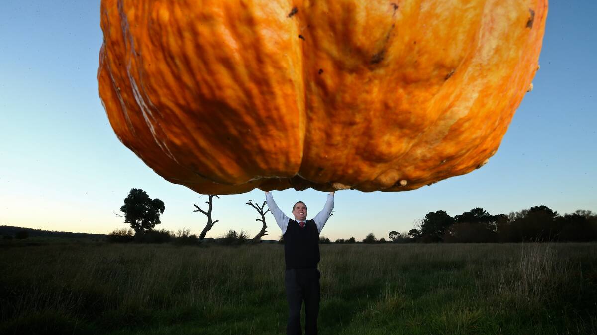 BIG IDEAS:  Does Maitland need a giant pumpkin?
 	 