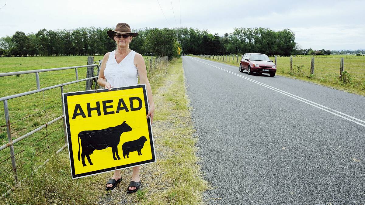 SLOW DOWN:  Bolwarra farmer Lyn Brock with a stock crossing warning sign which was clearly posted when a speeding motorist hit one of her cows last month.	Picture by CATH BOWEN 