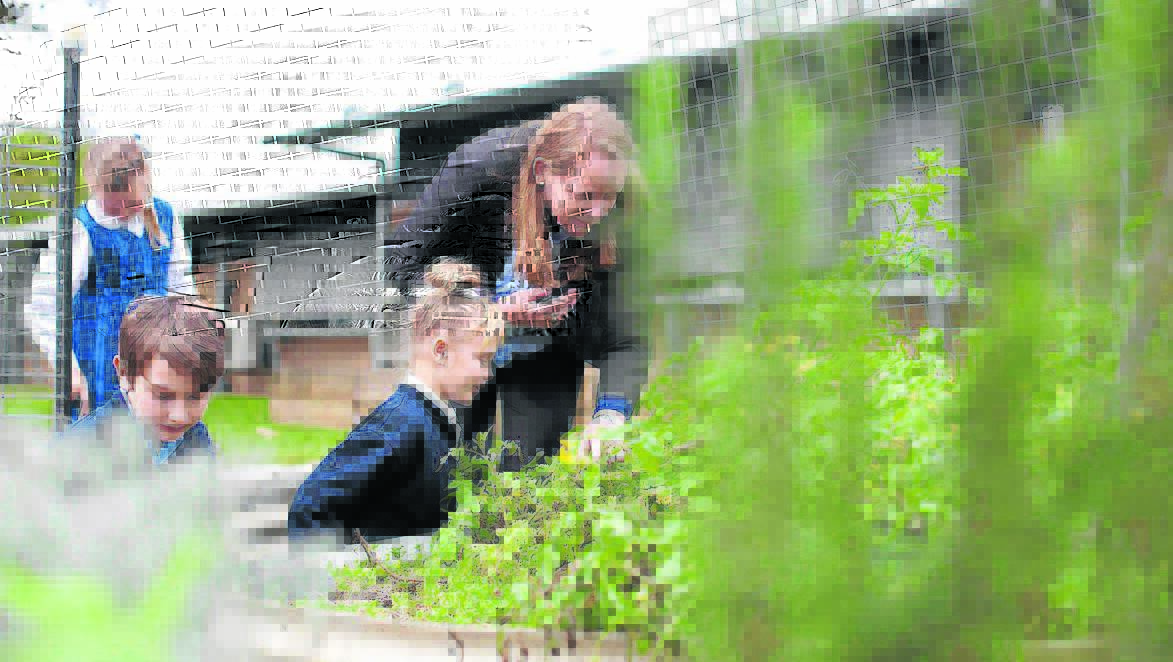 SELF-SUFFICIENT: Morpeth Public School teacher Jane Fincher in the school garden with some of her students.