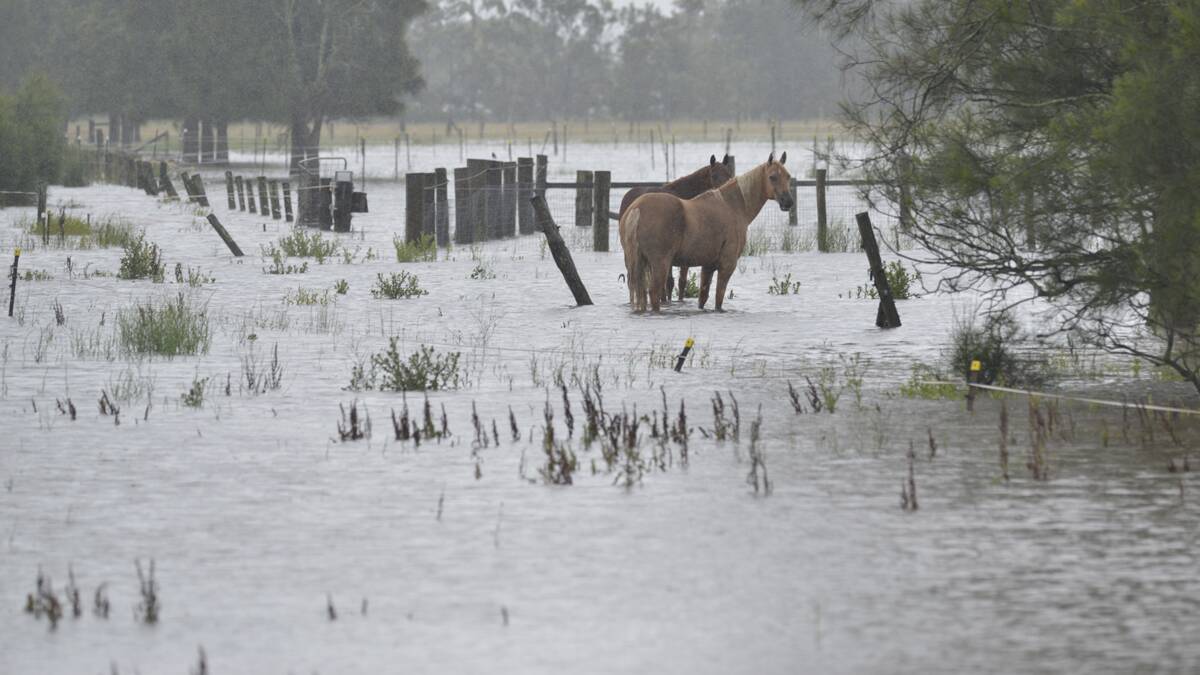 RAISE IT:  Two floods within a year has prompted the state government to help locals raise their houses .