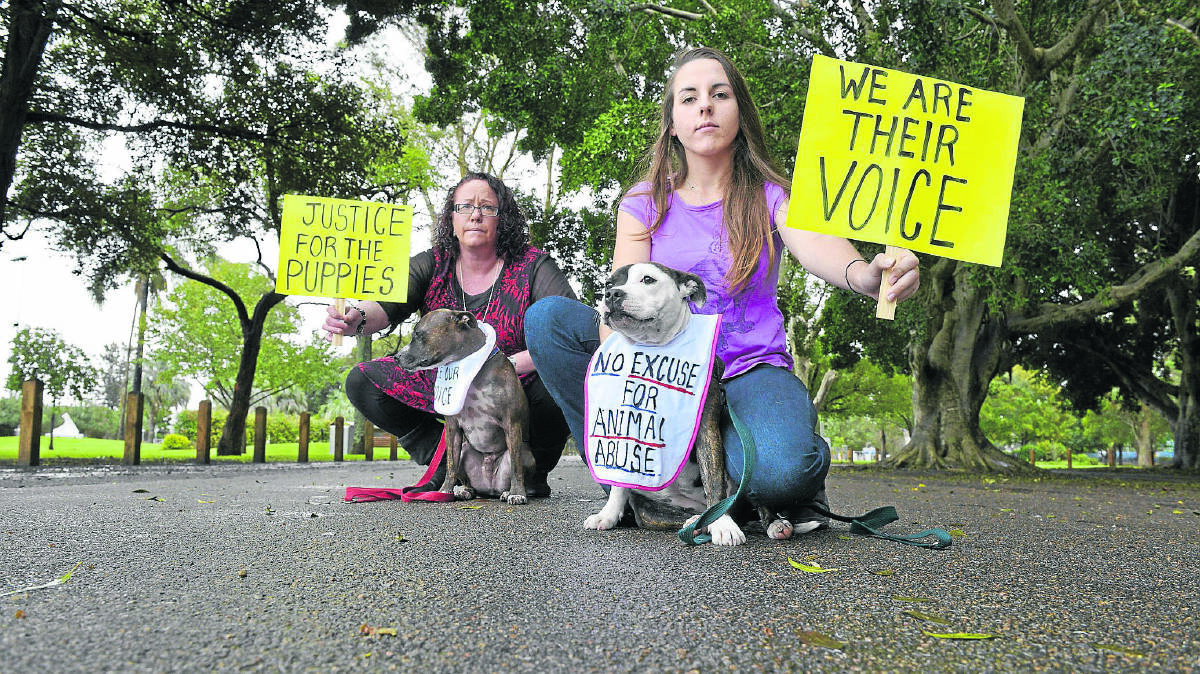 CALL TO GET TOUGHER:  Penny Cameron and Kimberley Veldman want harsher ­penalties handed out for animal cruelty.  	Picture by STUART SCOTT  