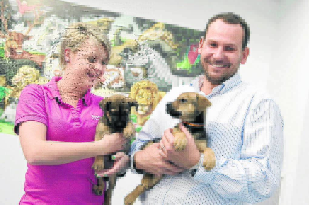 HELPING HAND:  RSPCA's Kelly Shorter and NAB representative Shane Hindle experience puppy love at the RSPCA Rutherford, one of the seven organisations that received a grant.  	Picture by PERRY DUFFIN 
