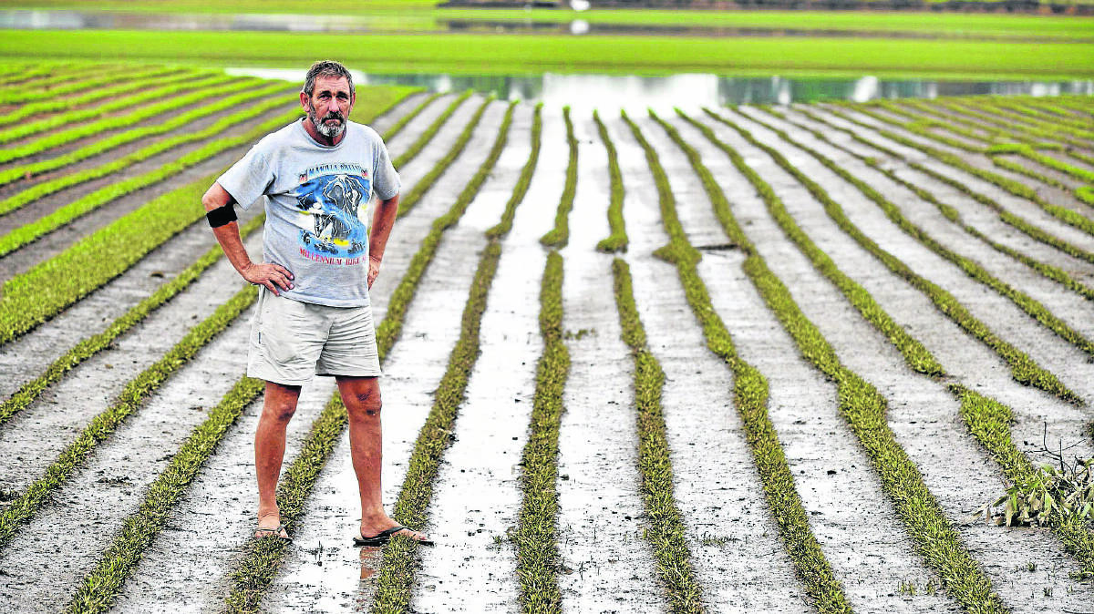 INUNDATED: Buchanan Turf owner Brent Redman inspects damage after the flood.
  	Picture by STUART SCOTT 010515ss001