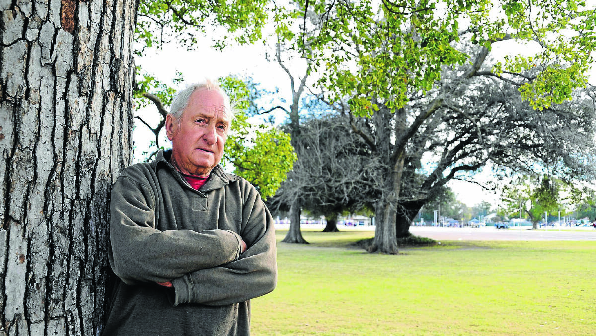 The removal of long-standing trees at Maitland Park to make way for a cycleway has outraged ­residents who believe the threat to native birdlife has not been ­considered.
