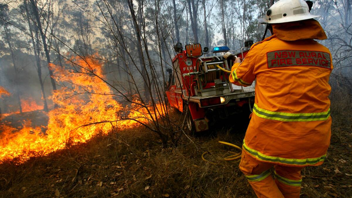 Charges have been laid over two fires in the Wallaroo State Forest earlier this year.