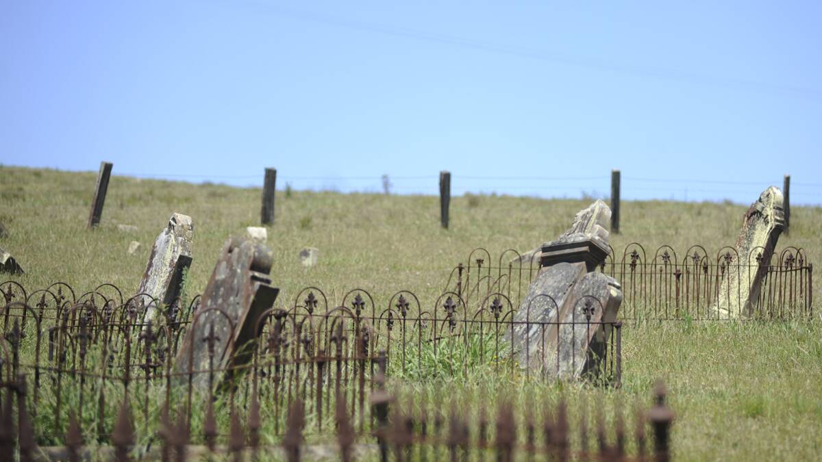 Plans to conserve the historic Glebe Cemetery at East Maitland go on public display today.