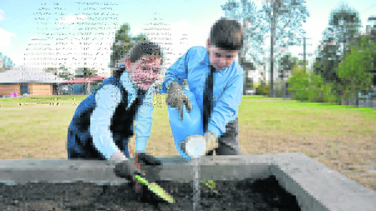 GETTING THE GROUND READY:  Verity and Hunter plant native trees at Holy Spirit Infants. Picture by PERRY DUFFIN 230714PD217