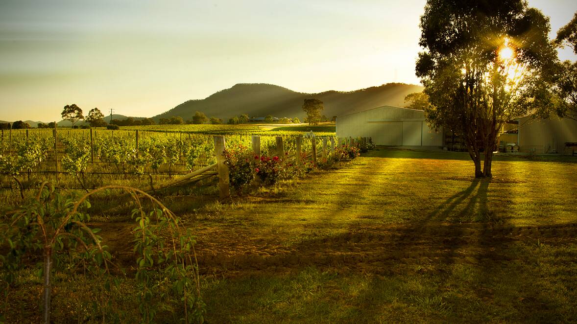American publisher USA Today’s readers have awarded the Hunter Valley region a place in the top 10 Best Wine regions in the world to visit.