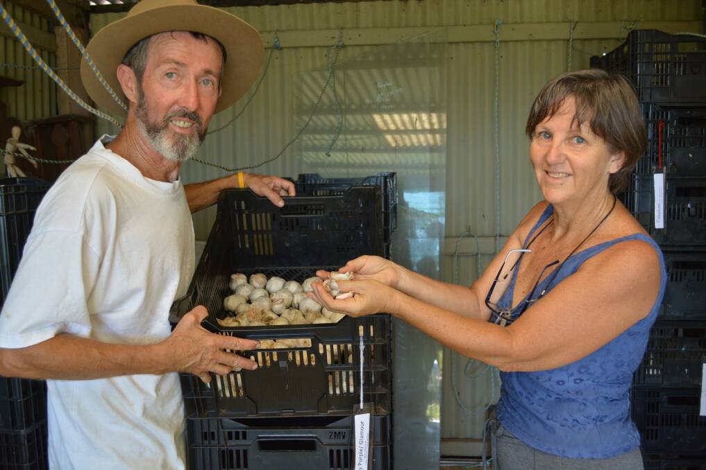 Stephen and Kerrianne McNamara have created a niche market for their produce from Garlic Farmacy at Kempsey.