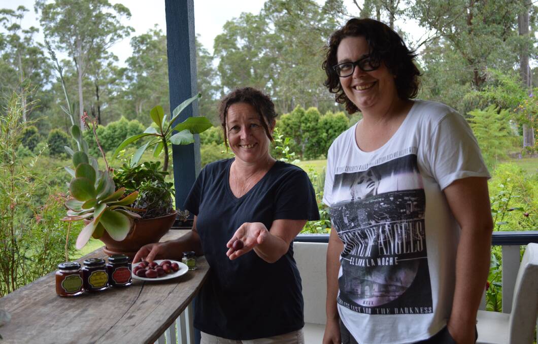 A growing interest in bush tucker ingredients is gradually expanding the customer base for Mid North Coast producer Dondingalong Organic Bushfoods.