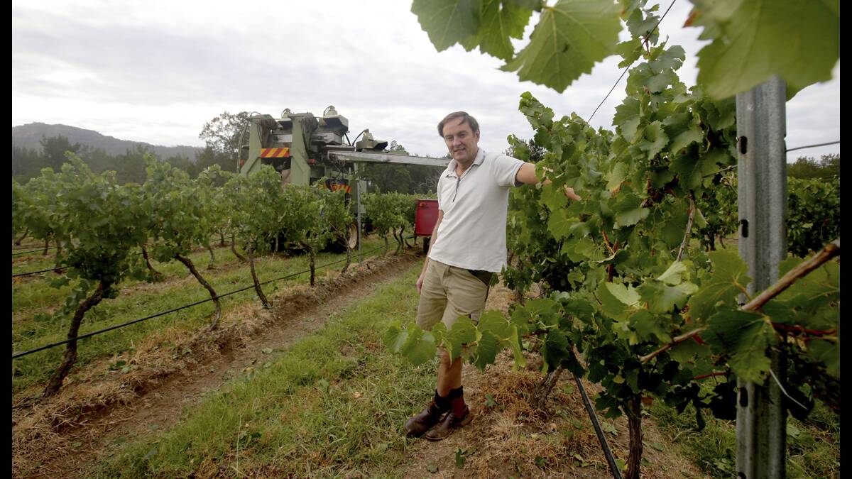 $3M IDEAL:  Hunter Valley Wine and Tourism Association vice-president Andrew  Margan would ideally have liked more funding.