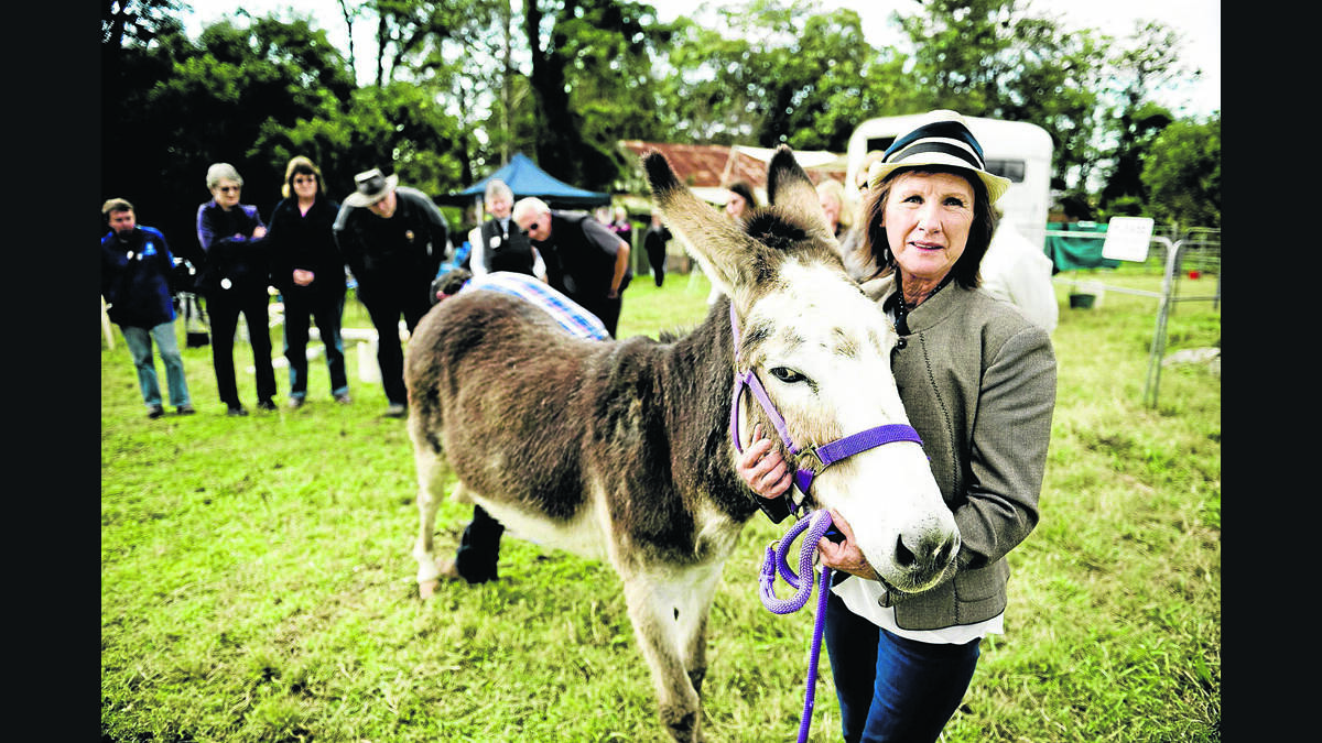 INFORMATION DAY: Christine Berry of Bishops Bridge at the Donkey Matters seminar at Lochinvar.  	Picture by PERRY DUFFIN