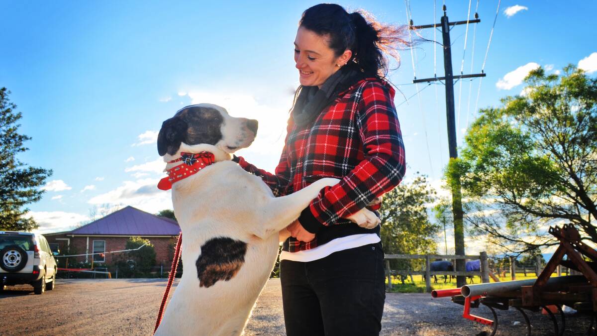 VIDEO: Glen Oak girl and dog, Rocky, find happiness