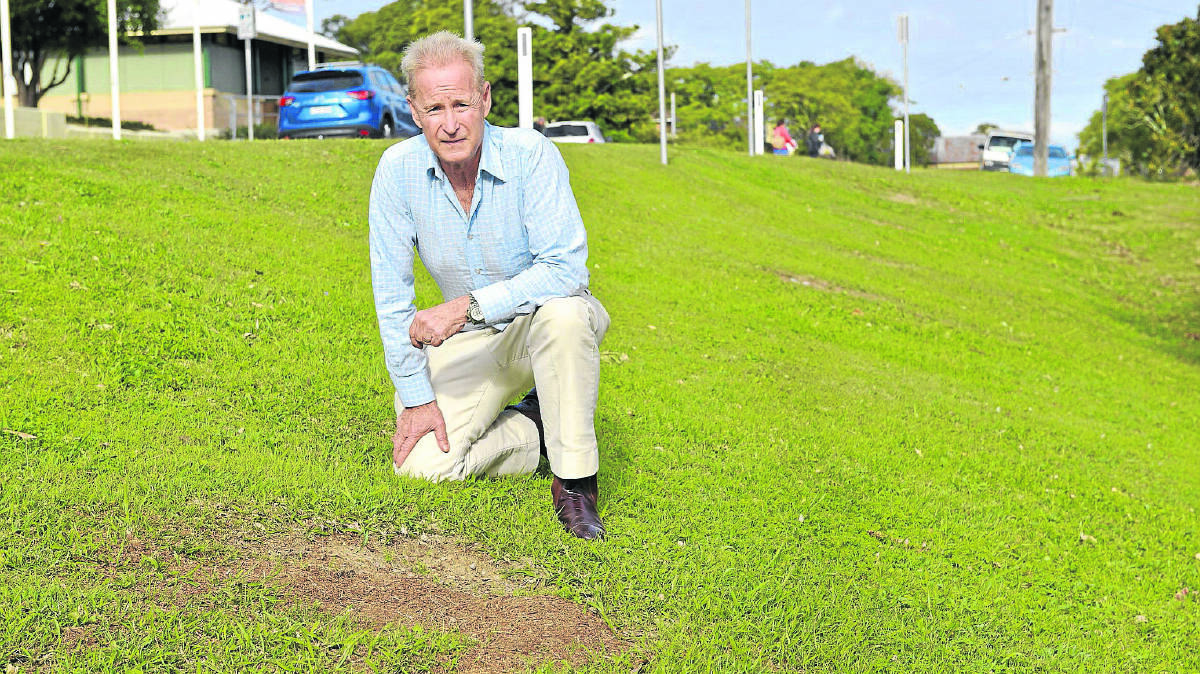 Heritage conservationist Chris Richards wants an ­advisory service established to educate residents on which trees should replace those lost during last month’s storm and subsequent flooding.