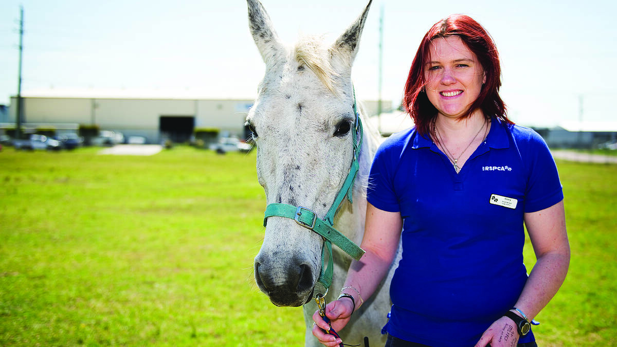 HORSE PLAY:  RSPCA handler Briony Clarke with Cleo, who needs a home. Picture by PERRY DUFFIN