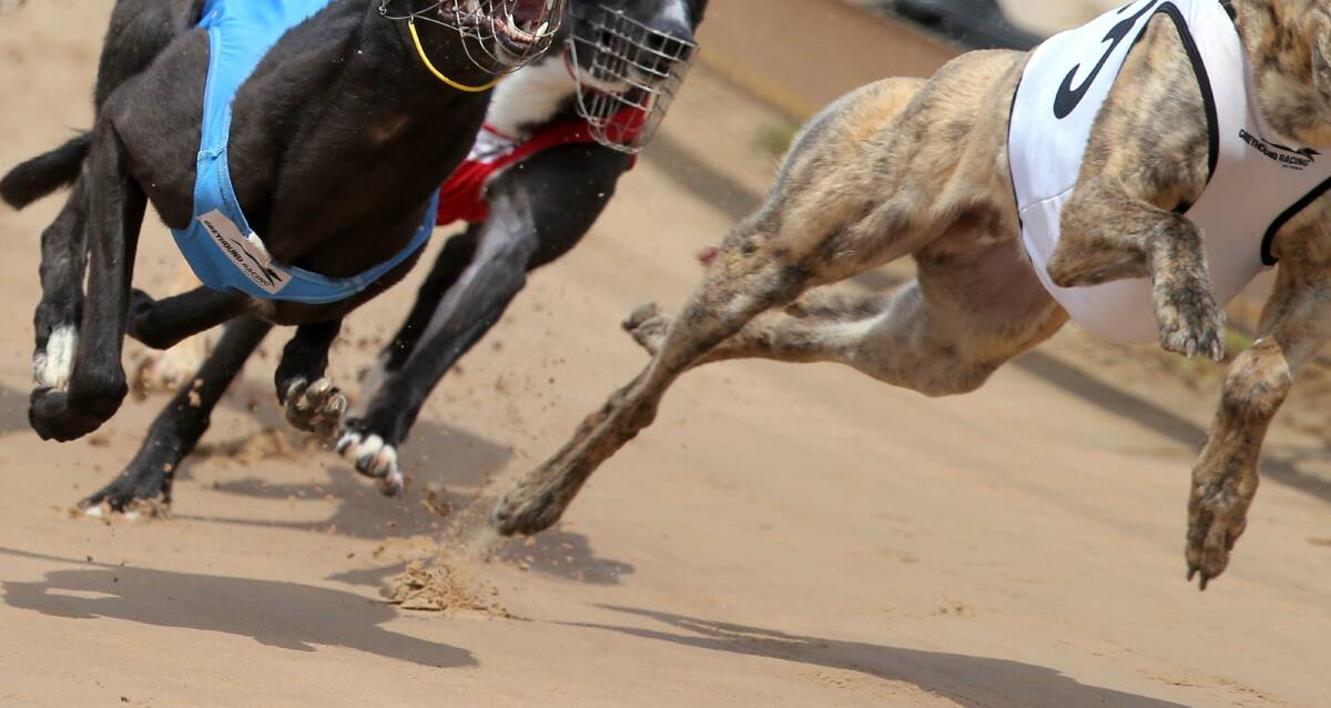 Keinbah Trial Track internal review finds no evidence of greyhound grave 