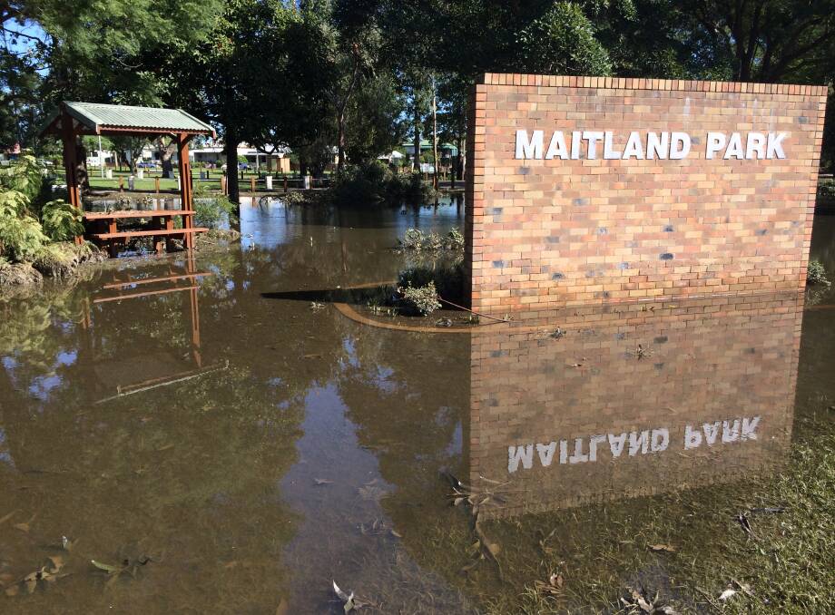 The storm damage at Maitland Park and surrounding areas.