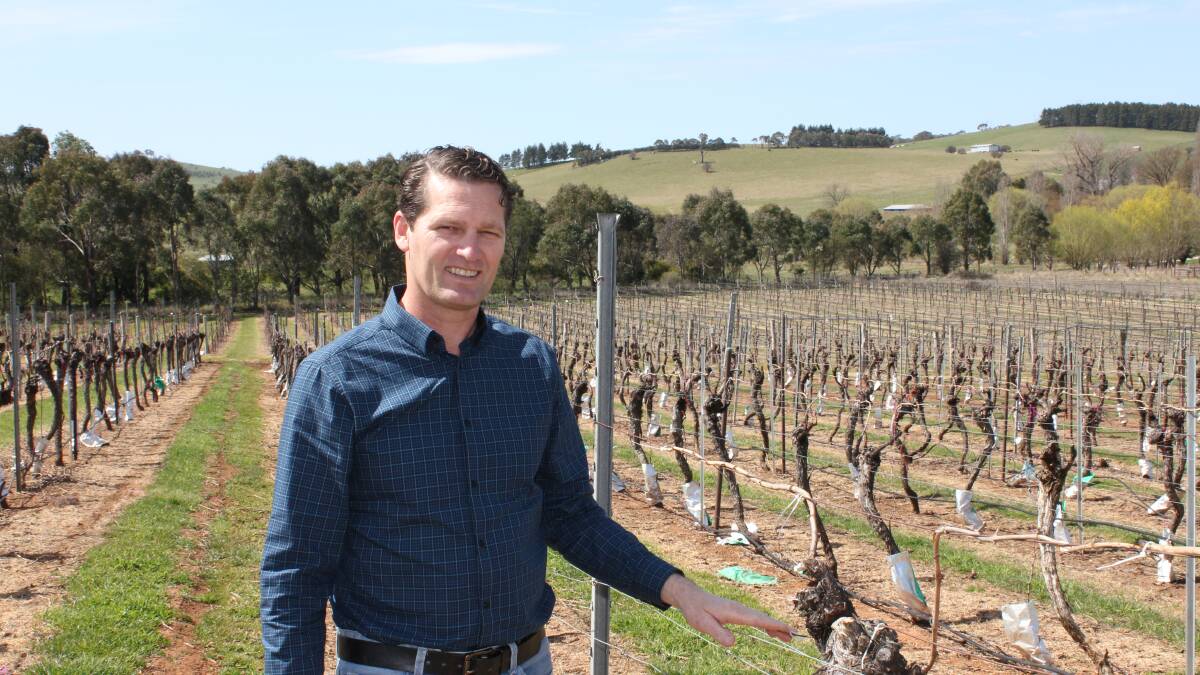 NEW ROLE: The Department of Primary Industries has announced Darren Fahey as its viticulture development officer.