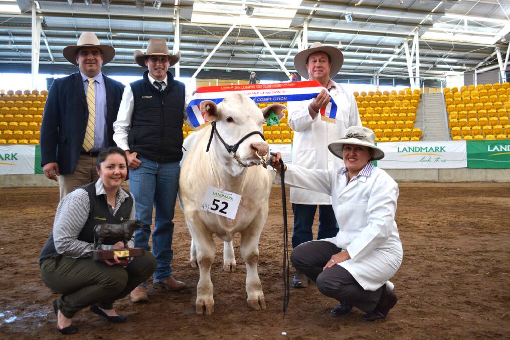 CHAMPION BULL:  Judge Jason Strong, Chris Williams, Landmark and Amanda McLaughlin, Bindaree Beef  with exhibitors Greg and Leonie Ball.  	         
Picture by LOUISE NICHOLS