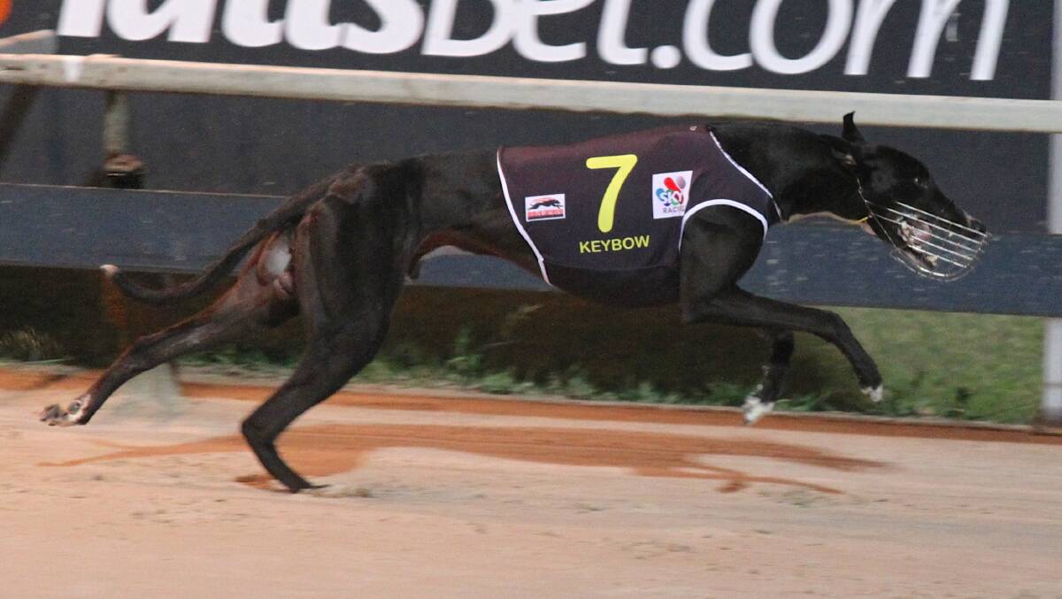 Keybow crosses the line first to win the Brisbane Cup. Image supplied.