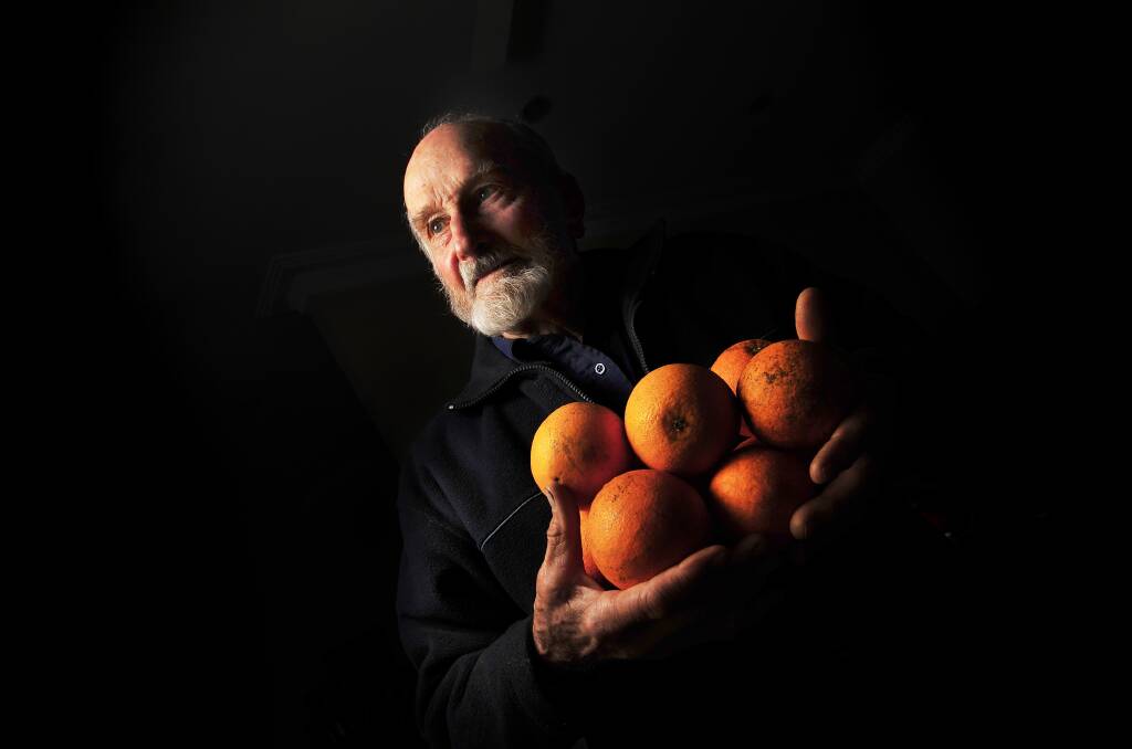 CITRUS: Oakhampton farmer Austin Breiner with some of the citrus he grows. Picture: PERRY DUFFIN 