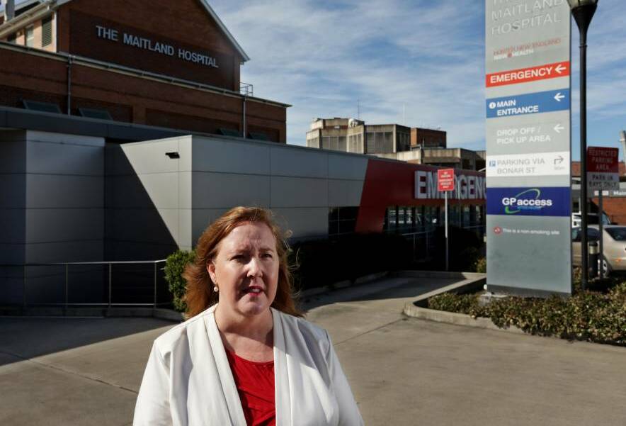 Maitland MP Jenny Aitchison has been a vocal opponent of a public-private partnership and the proposal for not-for-profit sector involvement. Picture: Simone De Peak