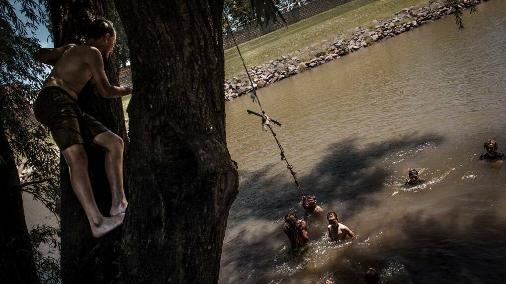 HEATWAVE: In the Hunter River at Lorn escape the heat recently. Picture: Perry Duffin