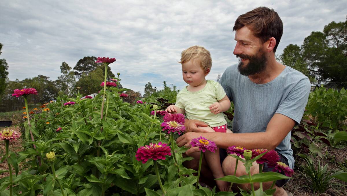 DESTINY: Novocastrian turned farmer Tom Christie with his daughter Evelyn standing among the flowers at his farm. Picture: Simone De Peak