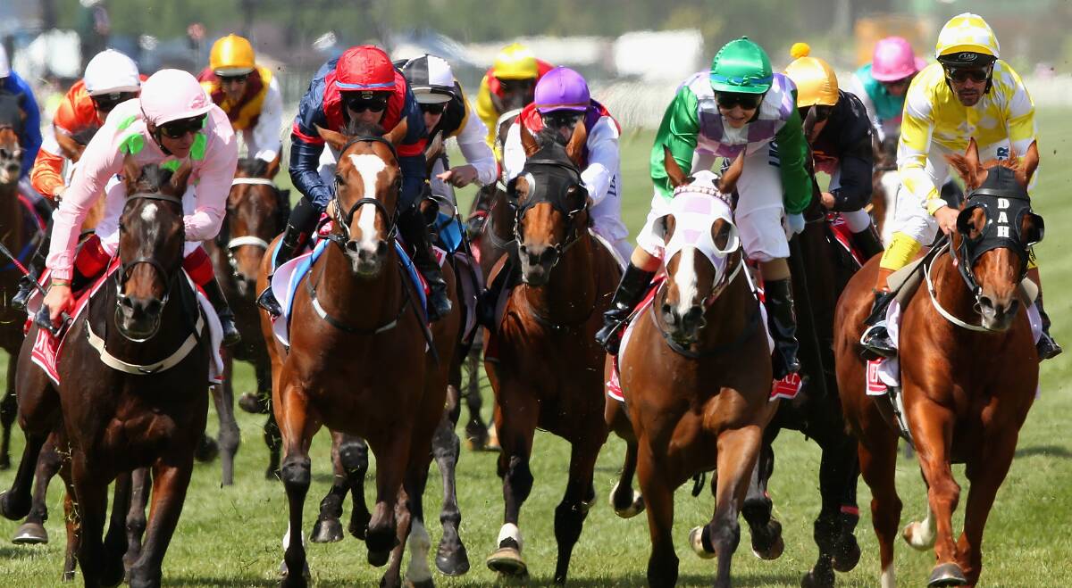 RACING: The 2015 Melbourne Cup field. A horse named Drongo featured in the race in the 1920s, but recorded no wins from 37 starts. Picture: FDC