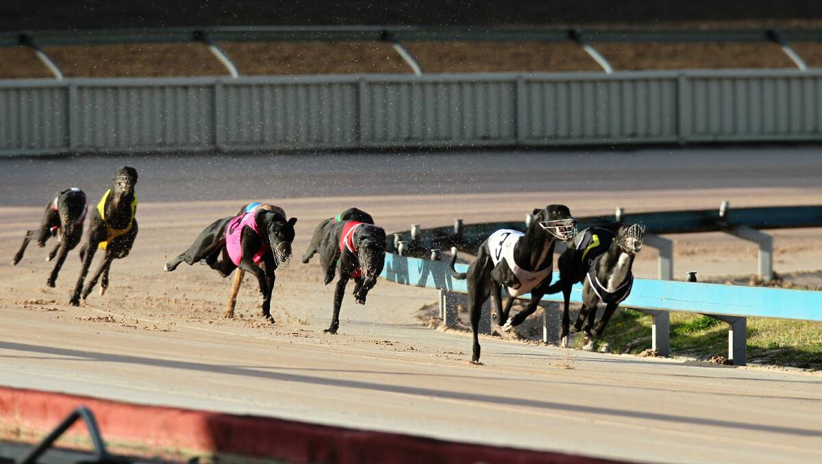 Greyhound racing will be banned in NSW from mid-2017, the state government has announced.