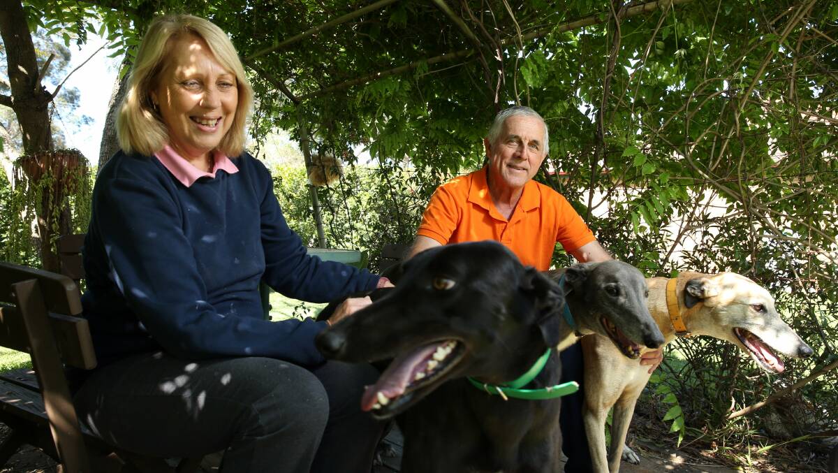 Greta greyhound trainers and re-homing helpers Helen and Wal Simmons with their three former racing dogs Teenie, Max and Meeka. Picture: Max Mason-Hubers