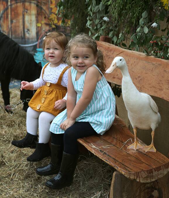 FARM FUN: Rosie Spiteri, 1, and Gracie Spiteri, 2, of Aberglasslyn, look like they are making a new friend at Tocal Field Days. Picture: MARINA NEIL