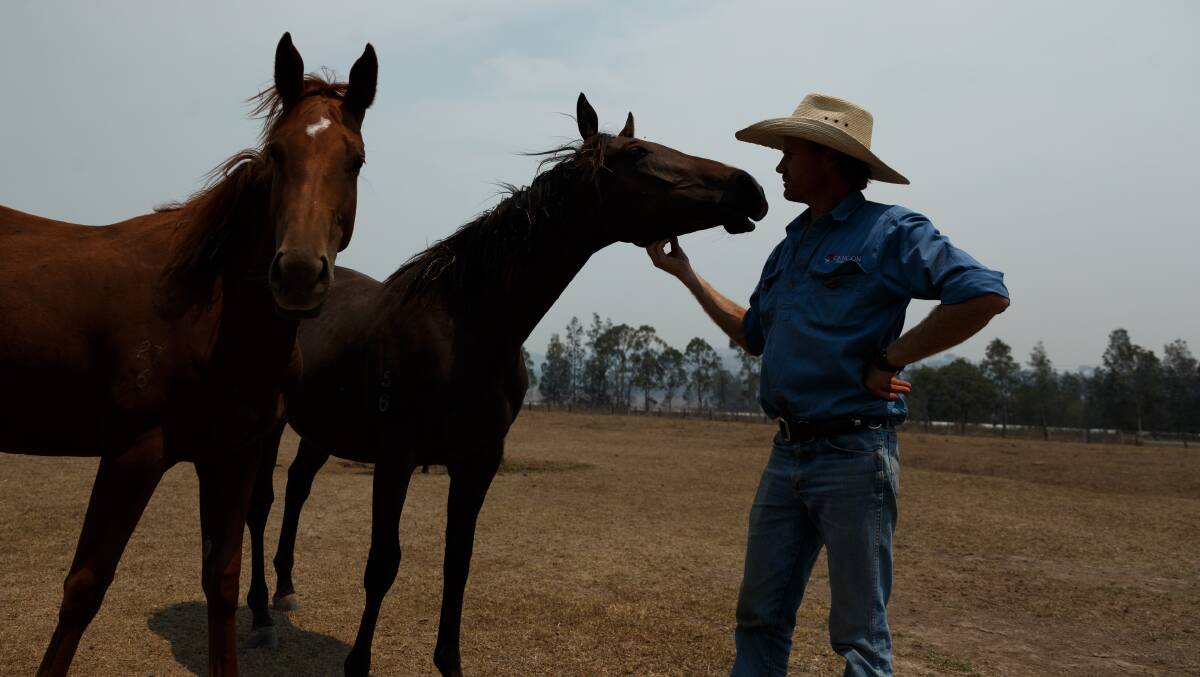Jock Mackay with a couple of horses at his Dung stud farm. Picture: Max Mason-Hubers