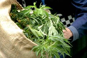 Woman grew dope for dying husband