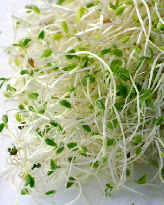 Foods men don't like ... Alfalfa sprouts.