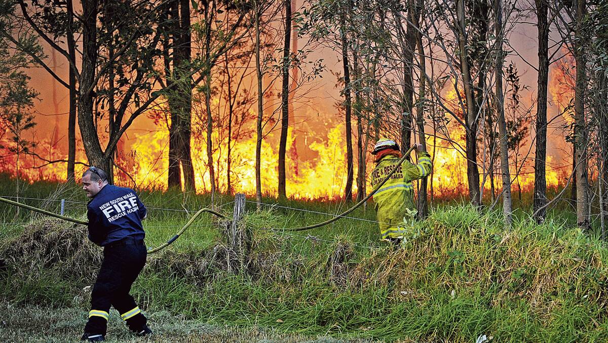EARLY START: Firefighters battle a fire in bushland at Tenambit, near the Beryl Humble Sports Complex, on Saturday.  