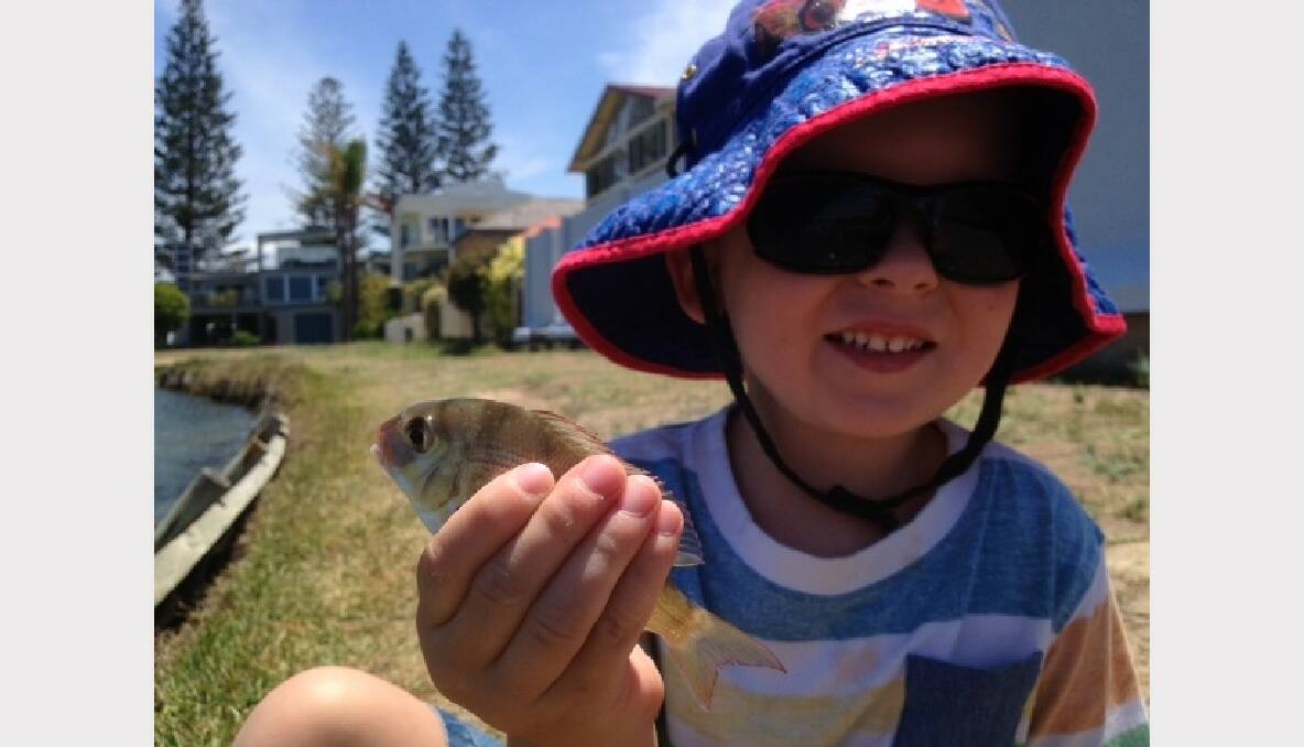 'Dad I caught a snapper' by Anne Maree Cahill (featuring grandson Daniel).