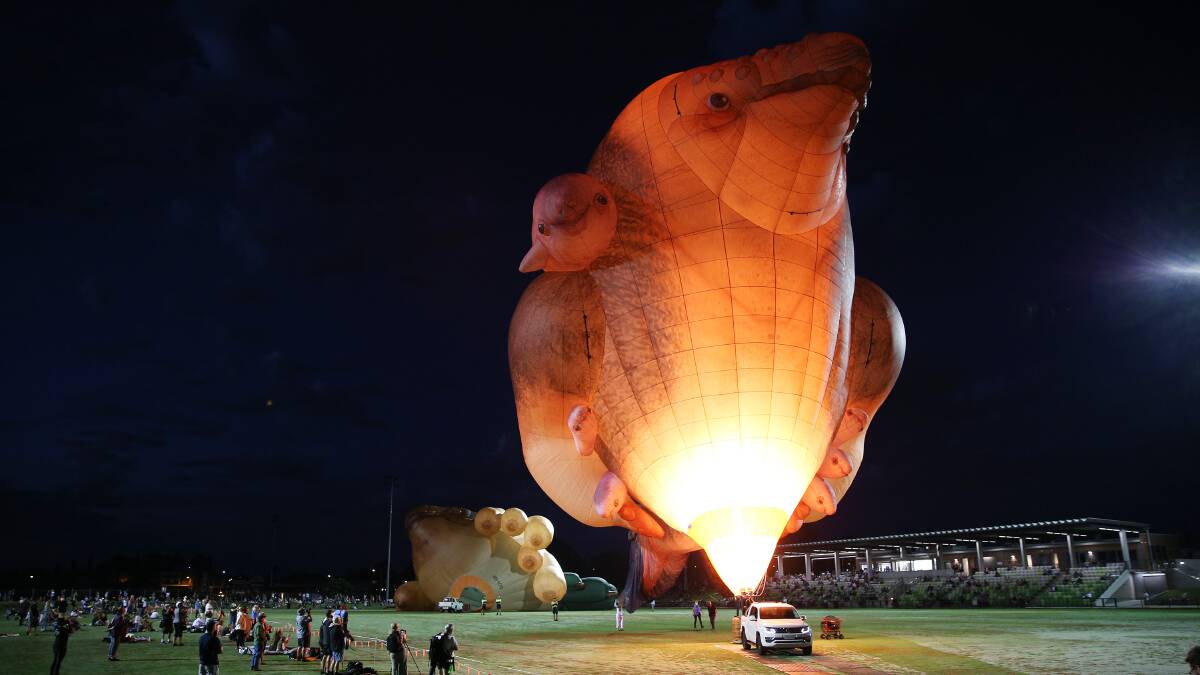Skywhales take flight over Maitland. Pictures: Peter Lorimer