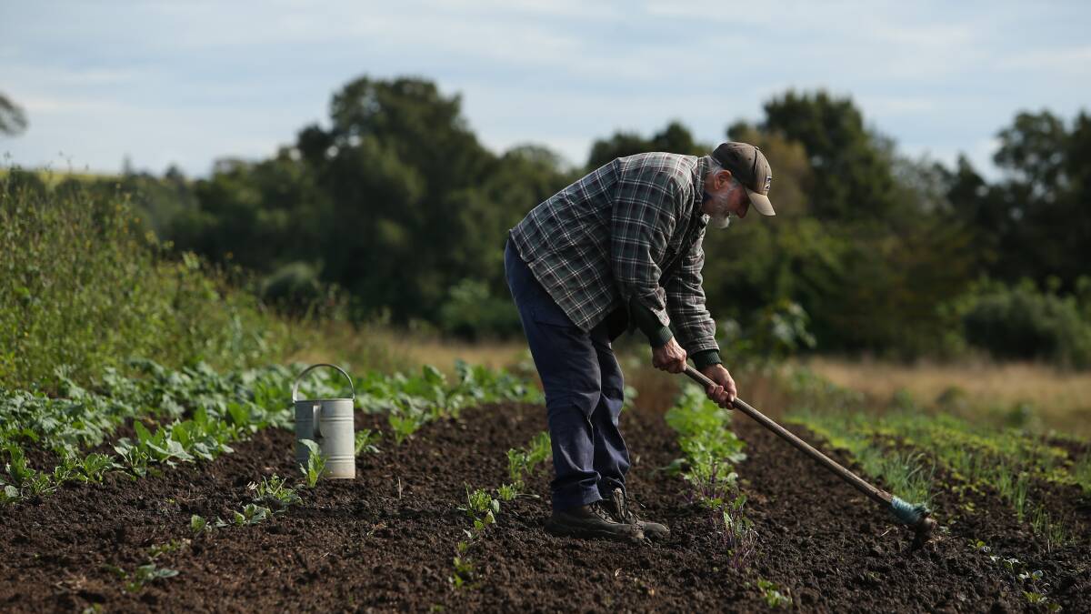 Austin Breiner tending his farm in Oakhampton by hand. Picture: Simone De Peak