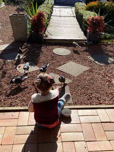 Canberra 3-year-old Piper in the garden with her magpie friends. Picture: Supplied