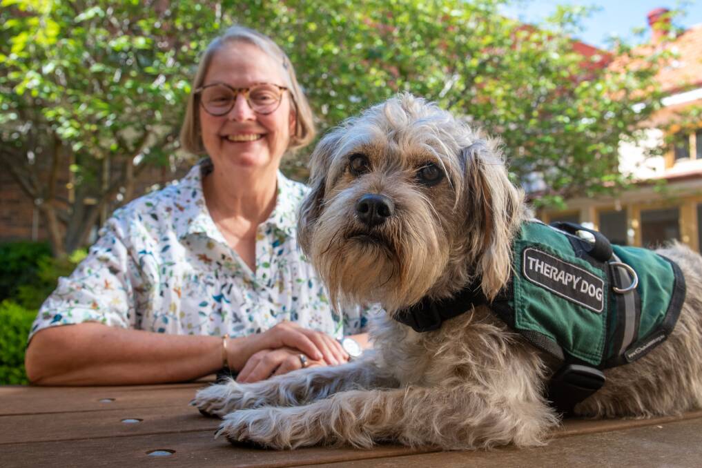 COMPASSIONATE POOCH: Edwina Colvin and Tilly, winners of the Outstanding Palliative Care Volunteer Award. Picture: Paul Scambler