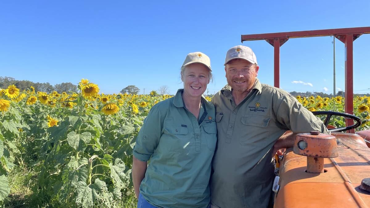 GIVING BACK: Glen and Kirsten Slade's passion project, Hunter Valley Sunflowers, has raised $20,000 for Cancer Council so far, and visitors can't help but smile when they see the patch. Picture: Chloe Coleman.
