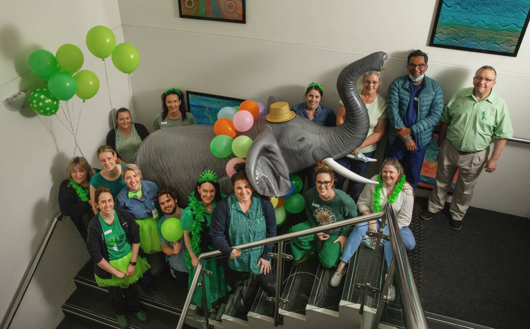 Staff at Maitland Private Hospital dressed in green with the 'elephant in the room' for Mental Health Week. Picture by Marina Neil.