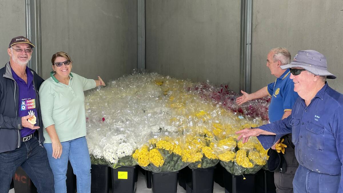 Maitland Rotarians Brian Morgan, Kim Le Page, John Pace and Geoff Hicks with some of the chrysanthemums for sale this year. Picture supplied