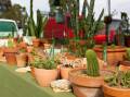 The succulent and cacti market is on Sunday from 8.30am to 1pm at The Barracks beside Maitland Gaol. Picture supplied