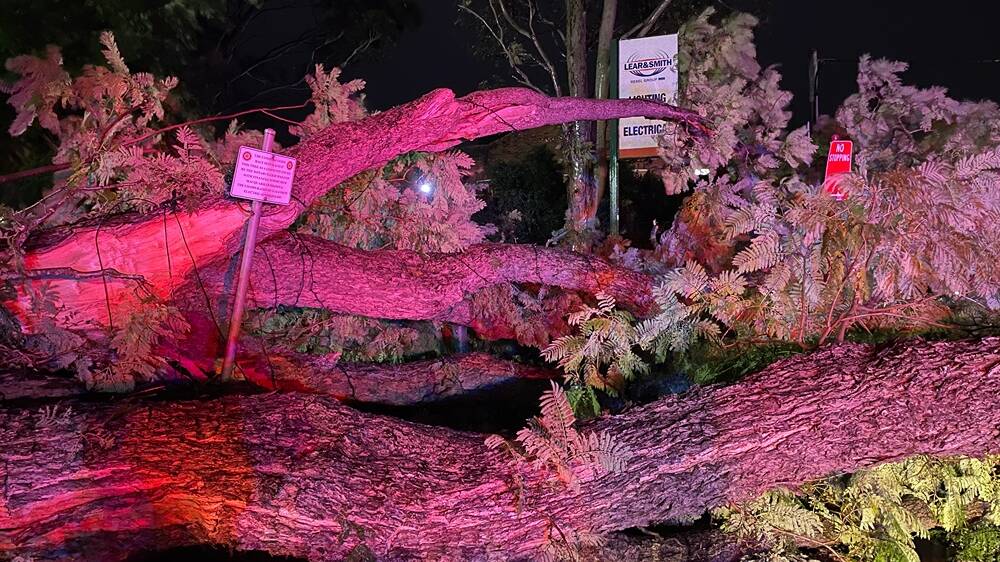 DANGEROUS WEATHER: The tree fell during Monday night's wild and windy conditions. Picture: Supplied.