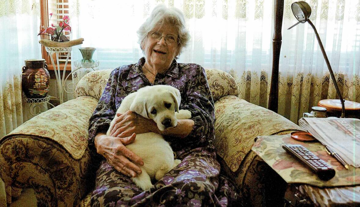 Sheila Woodcock pictured in her Bar Beach home with a visiting puppy.