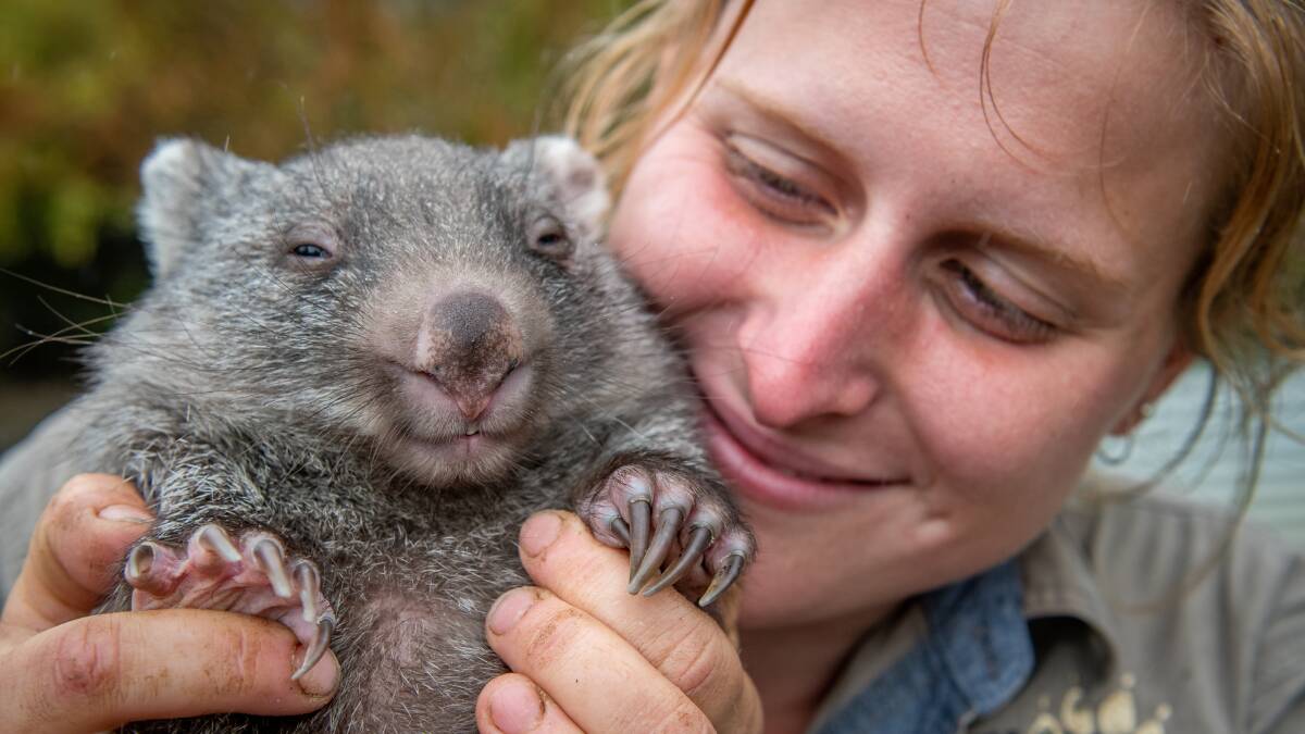 The staff at Tasmania Zoo are excited to show off their latest cute additions. 