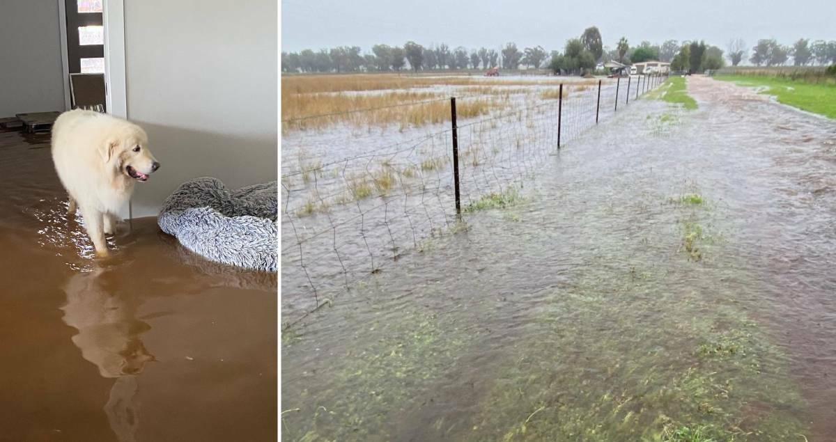 Jennifer Block never expected her house in Dubbo to flood during the weekend's downpour. Pictures supplied.