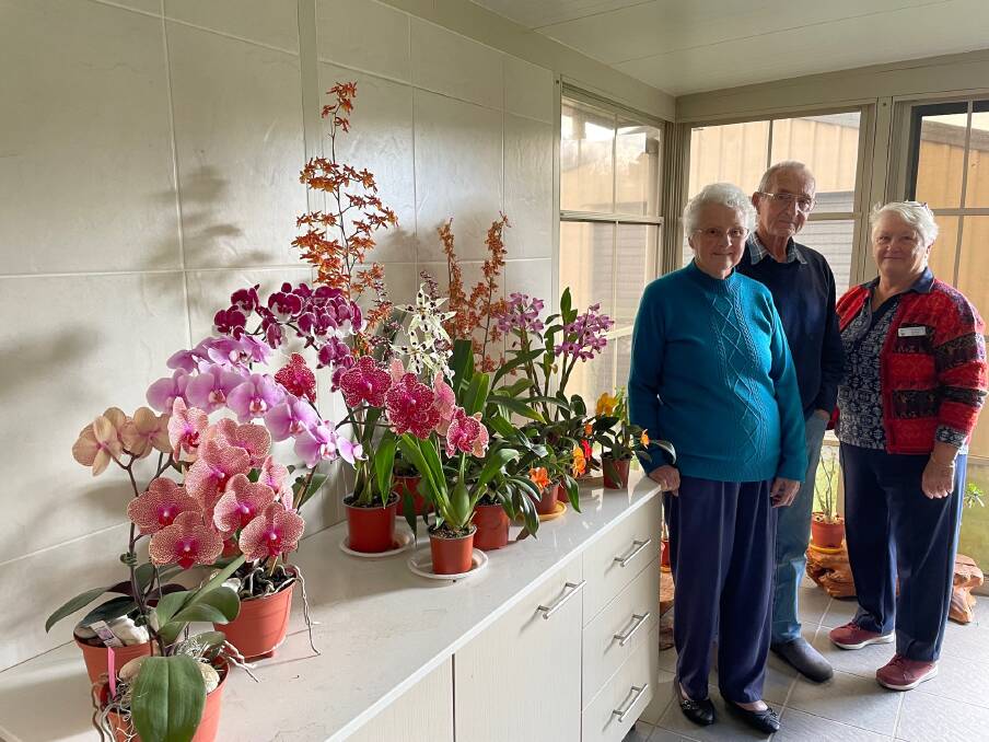 From left: Claire and Norm Howland and Marie Ryan standing in front of Norm's orchids ready for this year's Spring Orchid Show. Picture: Laura Rumbel 